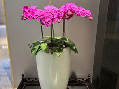 -广州花园酒店