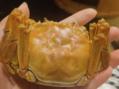 -重庆解放碑帝晶酒店·姜厨房西餐厅