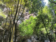-百漈沟生态旅游景区