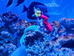 -太平洋海底世界