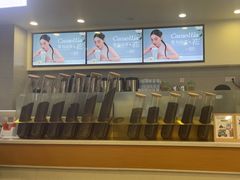 -雾与山茶(大禹城店)
