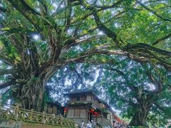 -云水谣景区