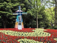 -上海共青森林公园