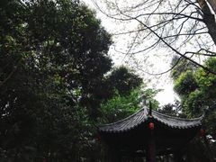-窦圌山风景区