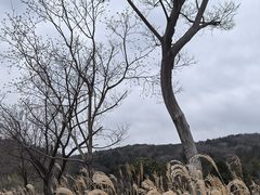 -南北湖风景区