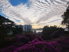-鸿山公园