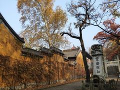 -灵谷景区