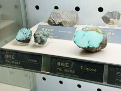 -中国地质博物馆