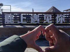 -红海滩国家风景廊道
