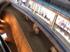 -天津古林古海岸遗迹博物馆