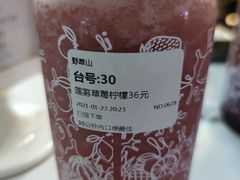 -野萃山·潮汕厚果汁(十亩地店)