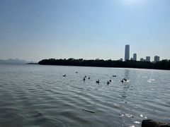 -深圳湾公园(南山区)