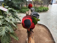 -南宫五洲植物乐园