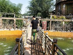 -呀路古热带植物园