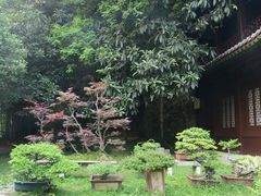 -团城山公园