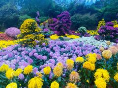 -杭州植物园