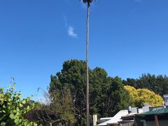 -汉多夫德国村