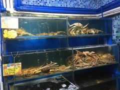 水产区-蚝专家(北滘店)