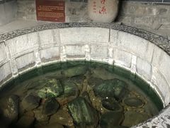 -华清宫景区