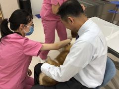 -爱妮康宠物医院·干细胞免疫细胞·肿瘤·心脏(张江店)