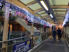 -中环半山扶手电梯
