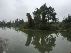 -桤木河湿地公园