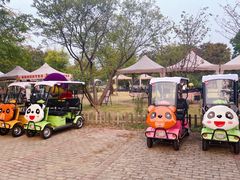 -鹅湖玫瑰文化园