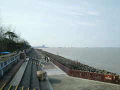 -上海滨江森林公园