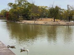 -盐城丹顶鹤湿地生态旅游区