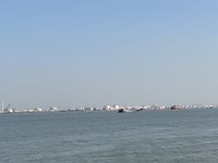 -海鸥岛