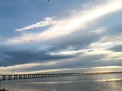 -宝安西湾红树林湿地公园