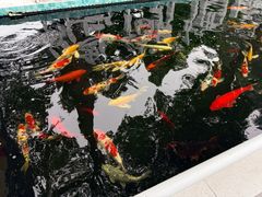 -华凌山庄·隐湖栖