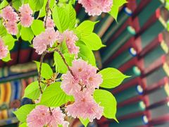 -北京艺术博物馆(万寿寺)