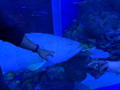 -成都浩海立方海洋公园