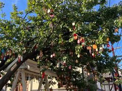 -清风小镇闯关东影视基地