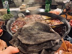 鲜毛肚-酒友老火锅(渝中店)