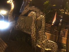 -清迈夜间动物园
