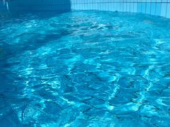 -重庆海昌加勒比海水世界