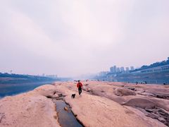 -金海湾滨江公园