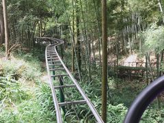 -石燕湖生态旅游景区