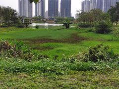 -金山植物公园