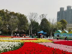 -大宁公园