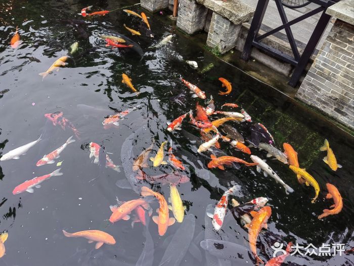 猪肉婆私房菜(容桂总店)图片