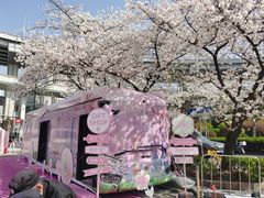 -南浦大桥长途旅游客运站