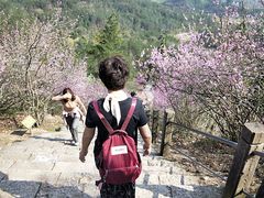 -天台山赤城山景区