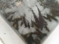 -金台阶鱼馆(于桥水库店)
