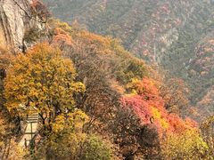 -秦岭终南山世界地质公园翠华山景区