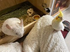 -龙猫仔乐园(惠福东路店)