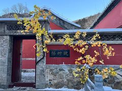 -潭柘寺景区