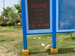 -《驼铃传奇》秀